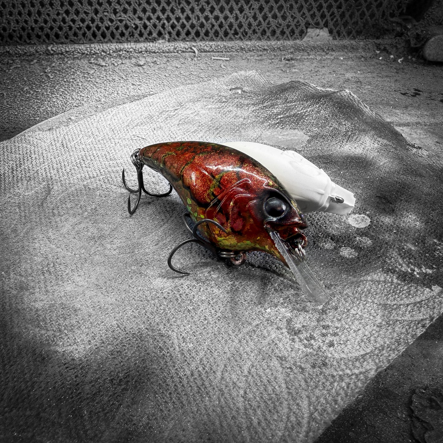 Murder Craw