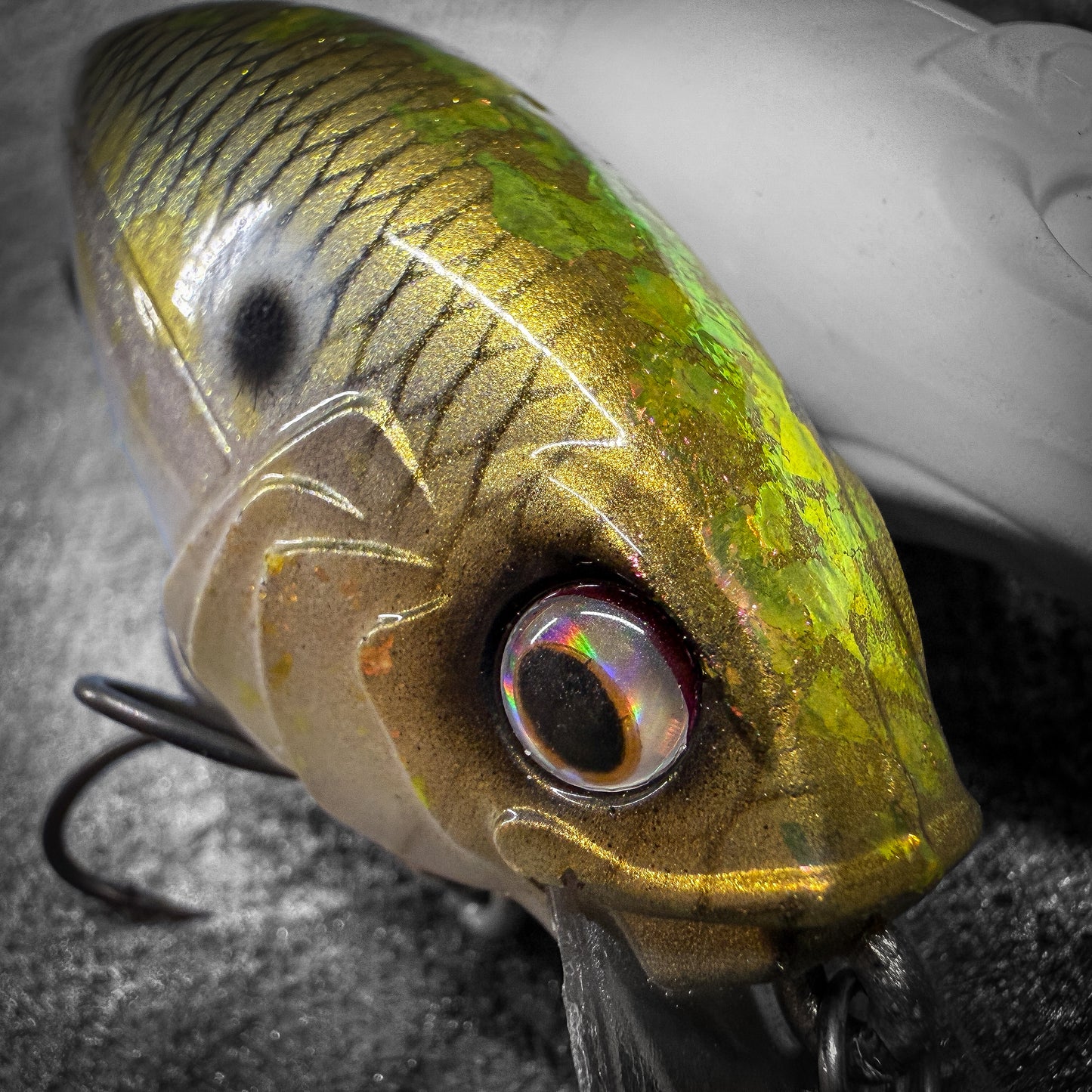 Golden Shiner