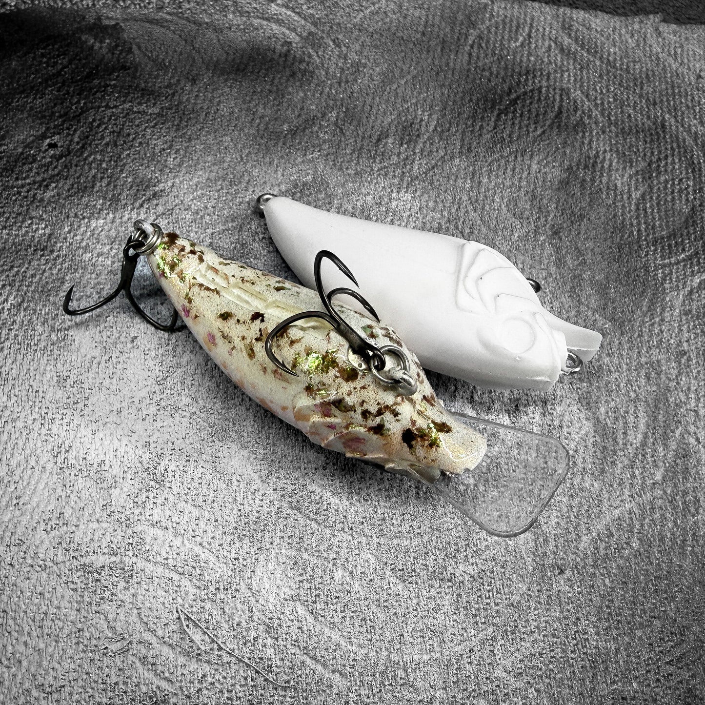 Gizzard Shad
