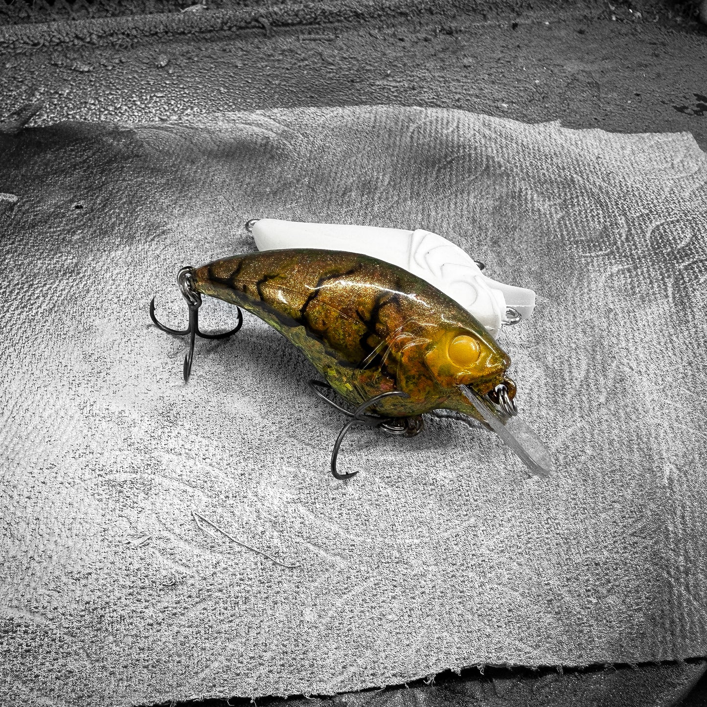 Spring Craw
