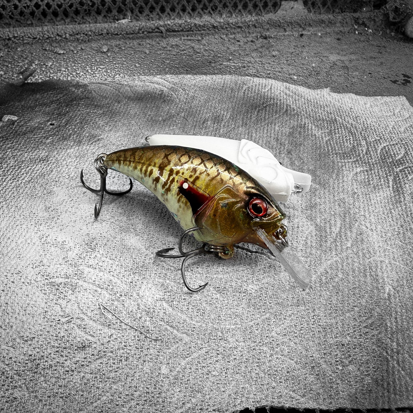 Redear Sunfish