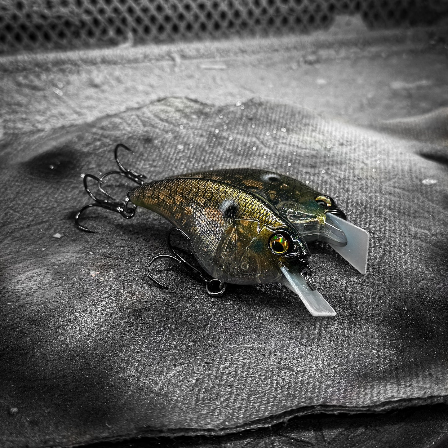 HT-Ito Tennessee Shad