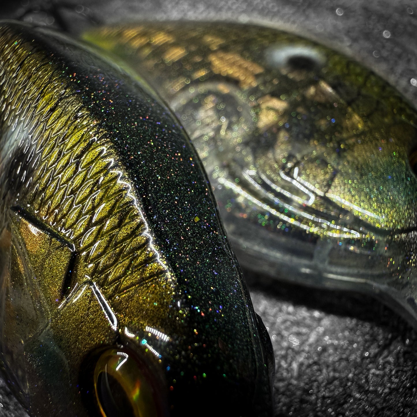 HT-Ito Tennessee Shad