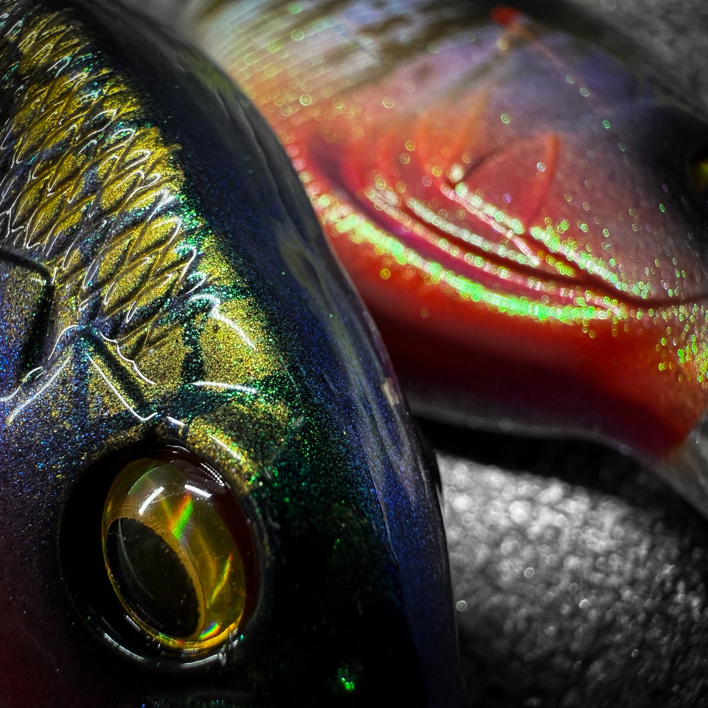 Secret Gill