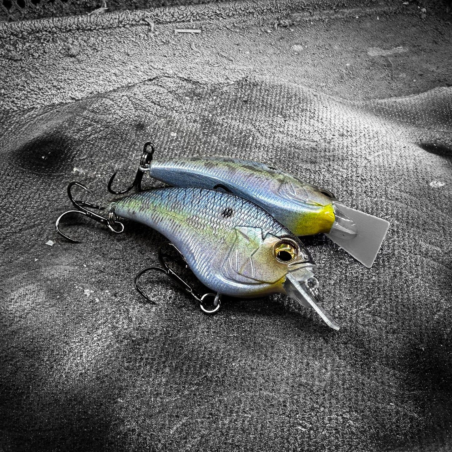 Megabass Sexy Shad