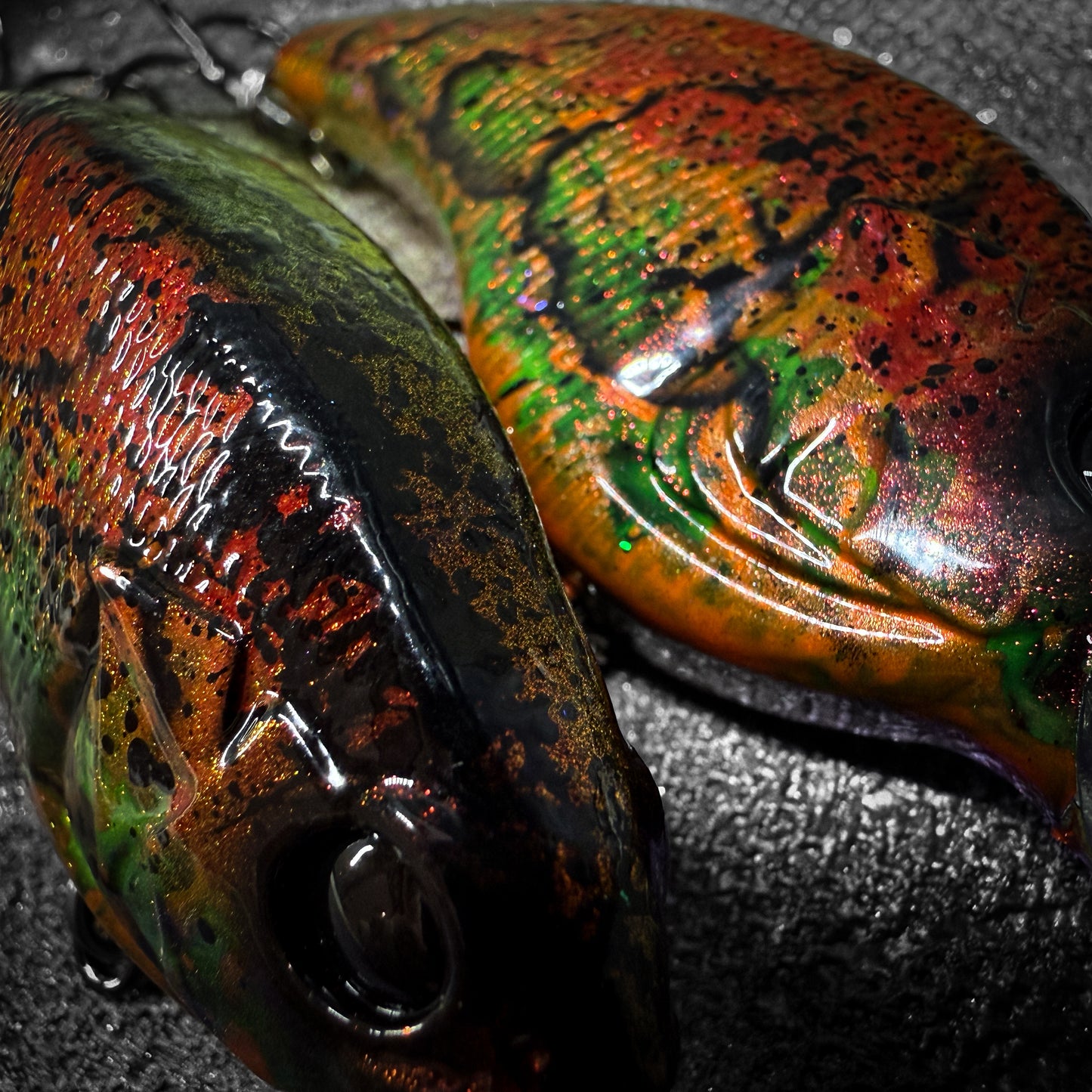 Wild Craw OB