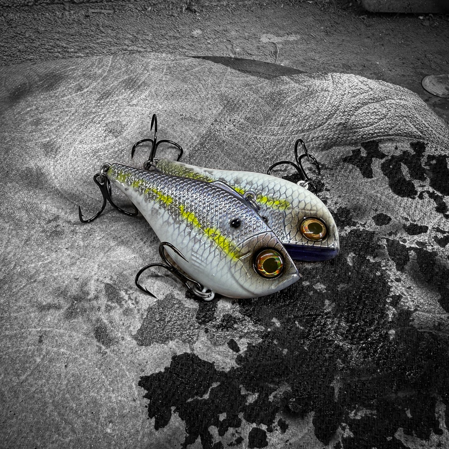 R Helenski Shad