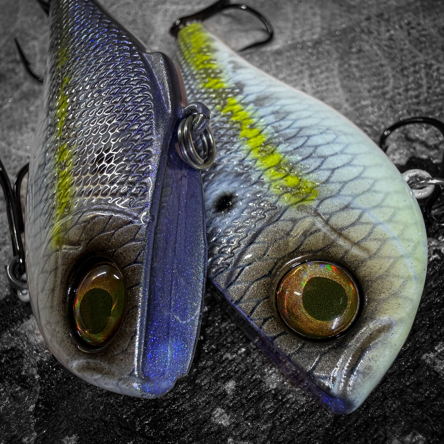 R Helenski Shad