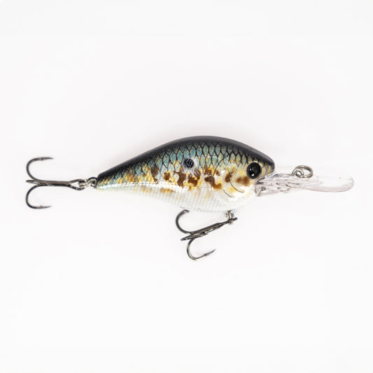 Threadfin Shad 1.5DD