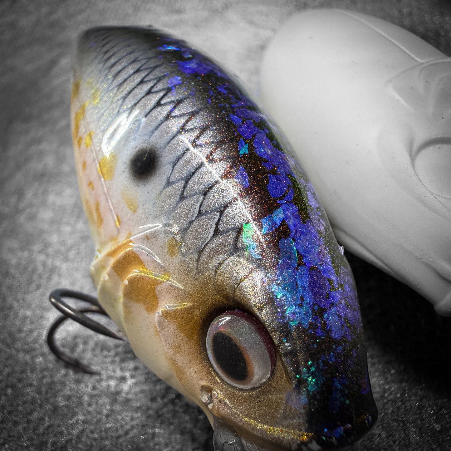 American Shad