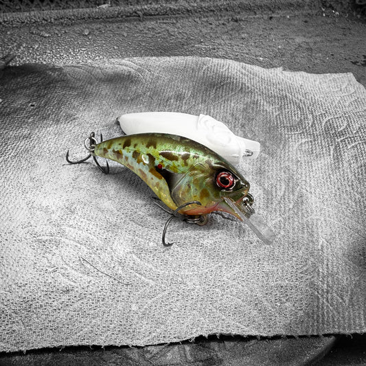 Blue Pumpkinseed