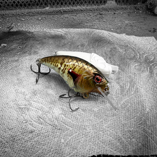Redear Sunfish