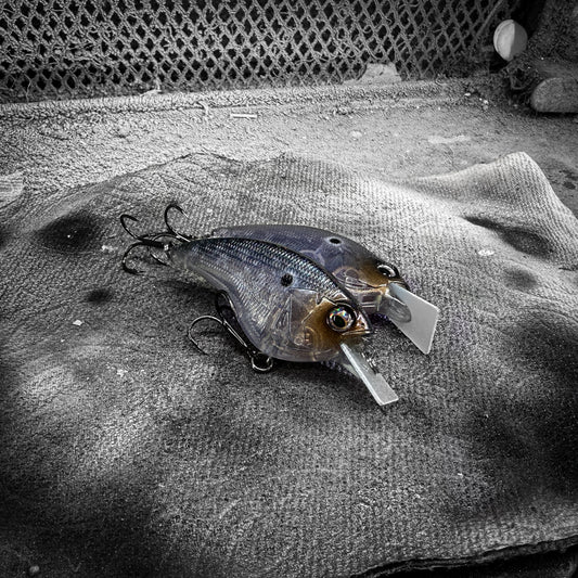MB PM Ghost Shiner