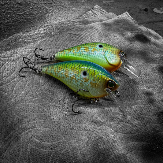 LC Citrus Shad