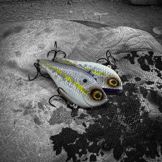 R Helenski Shad