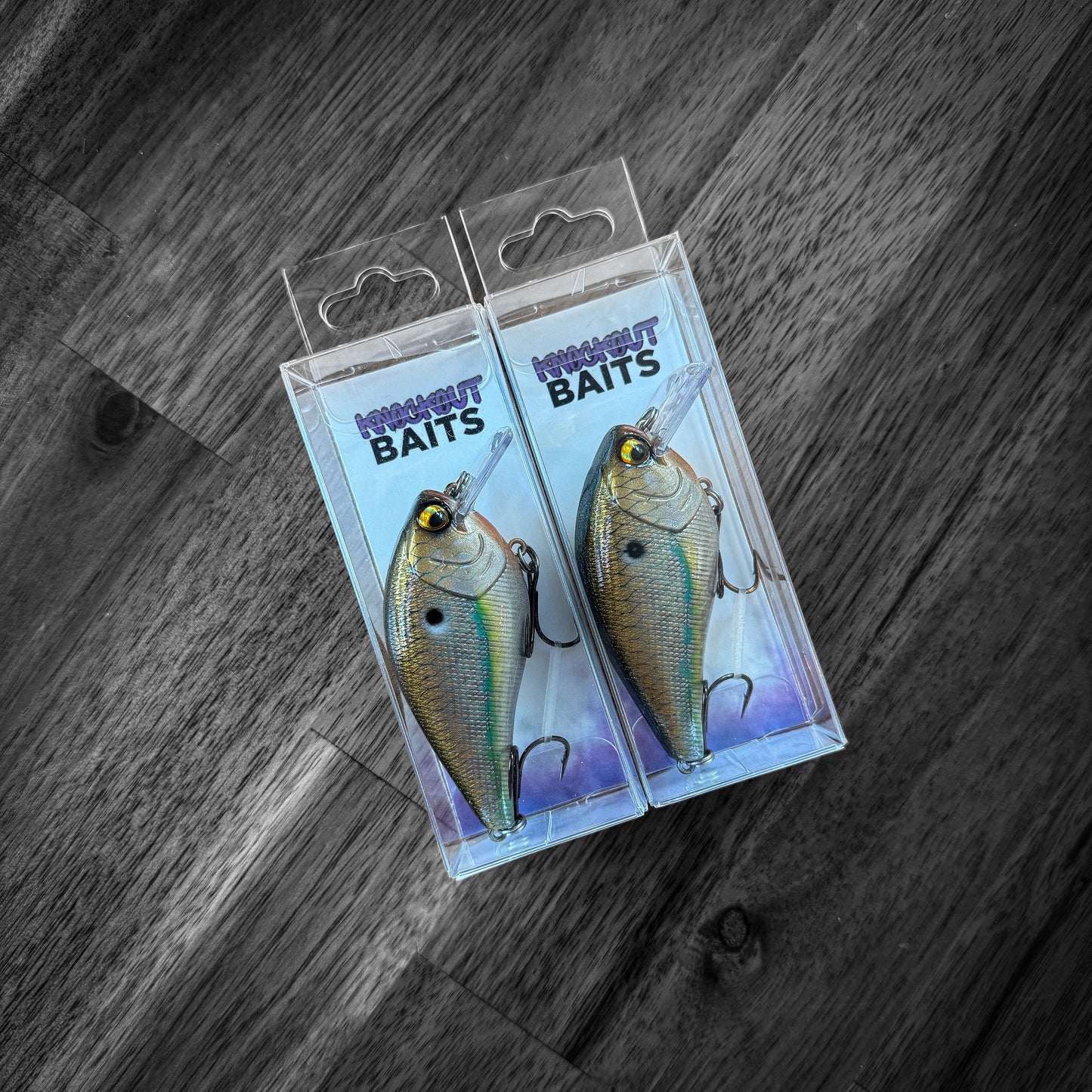 LC Gizzard Shad