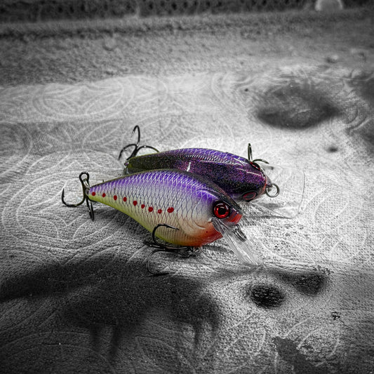LC Purple Perch