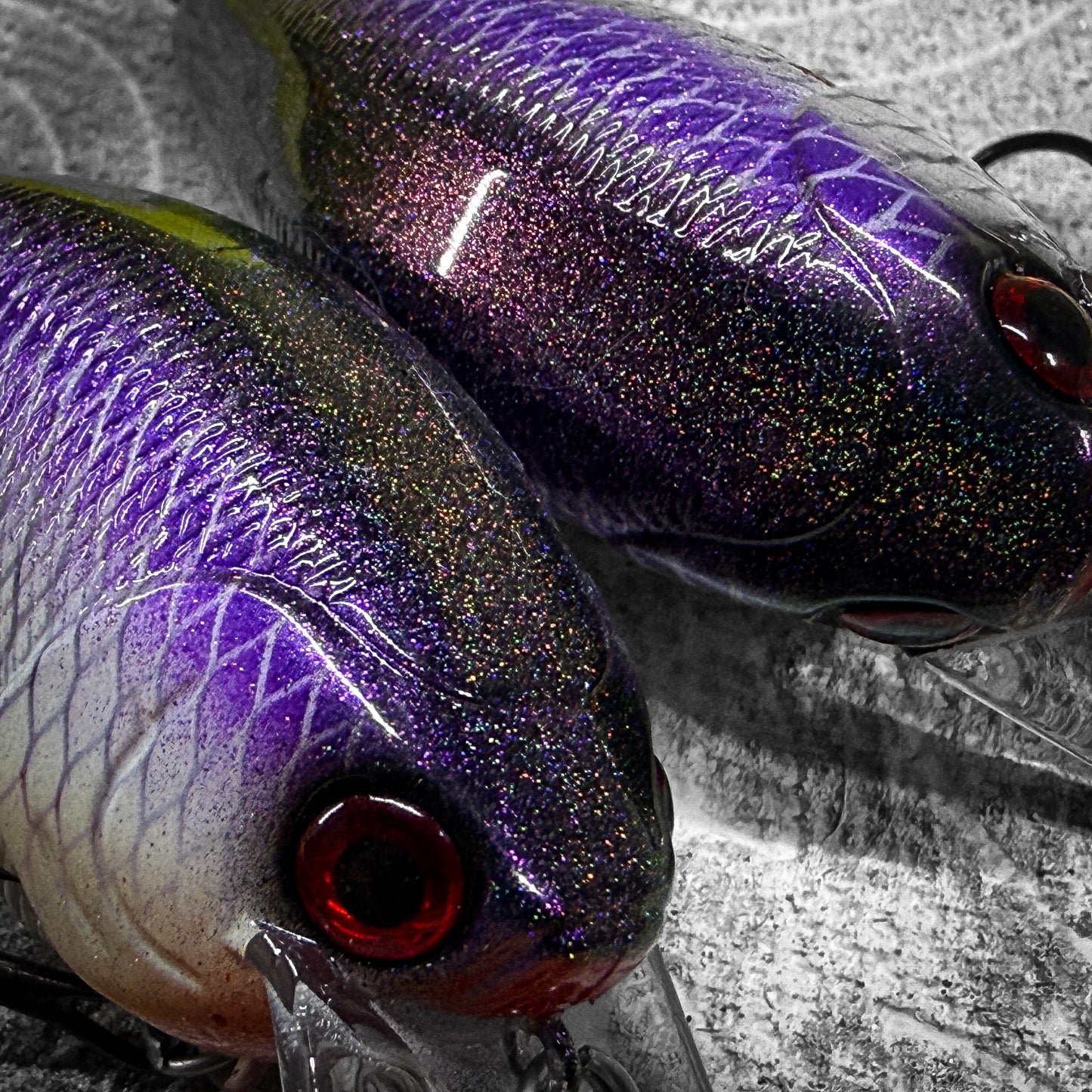 LC Purple Perch