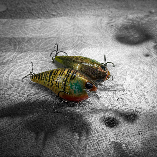 LC Gold Pumpkin Seed