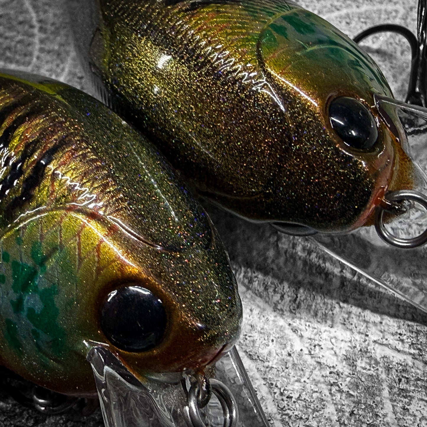 LC Gold Pumpkin Seed