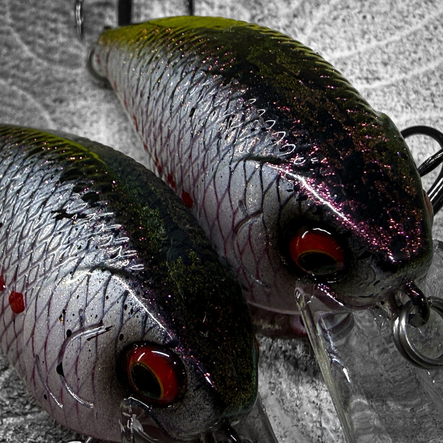 LC White Shad