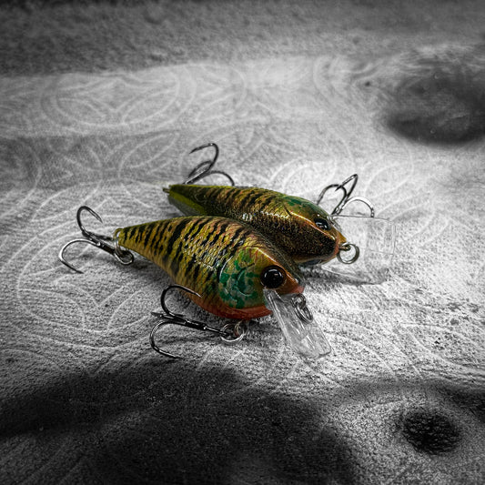 LC Gold Pumpkin Seed