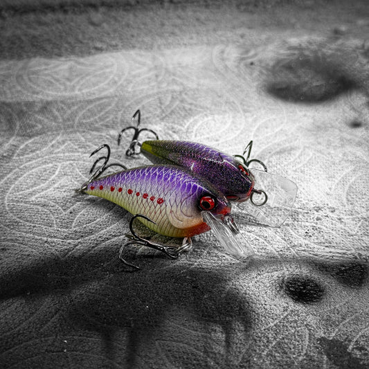 LC Purple Perch