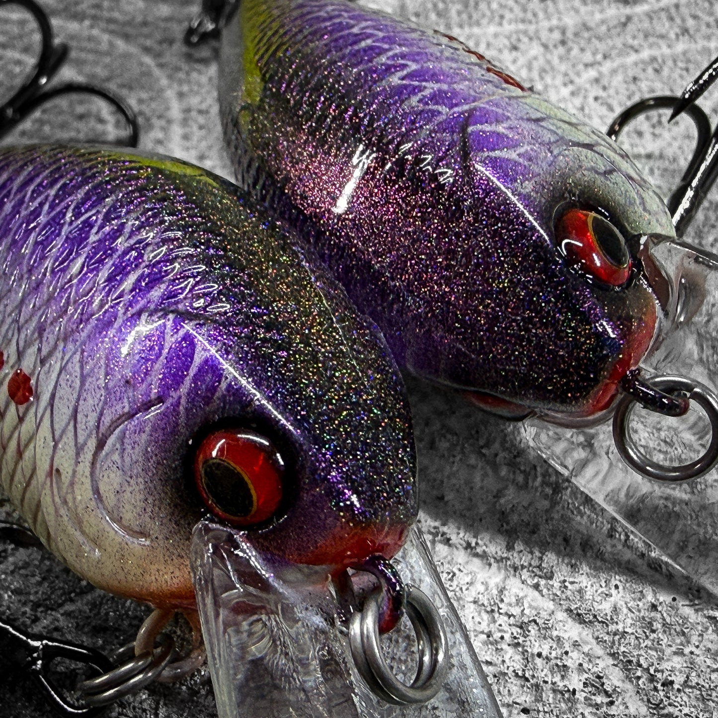 LC Purple Perch