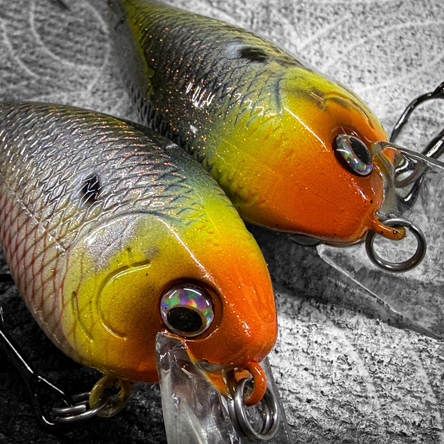 LC MS Impulse Shad